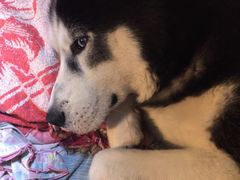 -富瑶大酒店(强工二街店)