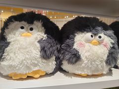 -KKV(上海月星环球港主力店)