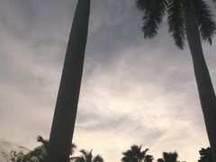 -三亚珠江南田温泉度假区