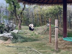 -杭州野生动物世界