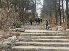 -周口店北京人遗址公园
