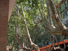 -西安电影制片厂