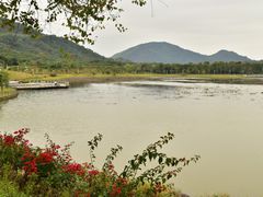 -风云岭森林公园