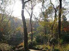 -镇江市南山风景名胜区竹林景区