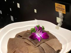 -巴奴毛肚火锅(九洲店)