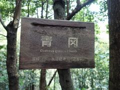 -江郎山风景名胜区