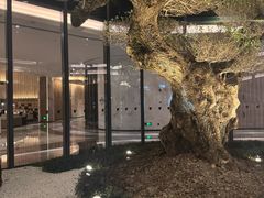 -东方美谷JW万豪酒店·The lounge大堂吧