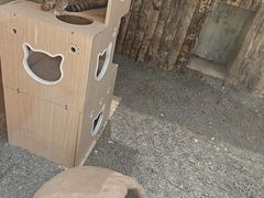 -青藏高原野生动物园