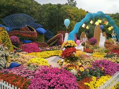 -上海共青森林公园