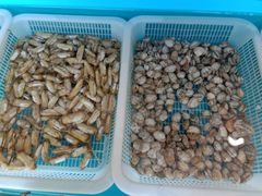-港畔赶海蒸汽海鲜烧烤自助(仙螺岛店)