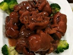 可乐美容蹄-大眼锅贴水饺(河东店)