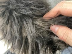 -艾吉宠物医院·疑难杂症转诊中心·猫友好(碧江路院)