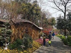 -圩墩遗址公园