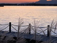 -野鸭湖国家湿地公园