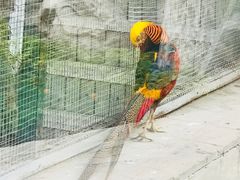 -北京市海淀外国语实验学校