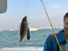 -小猫钓鱼海钓俱乐部(椰梦长廊店)