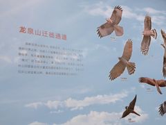 -四川大学博物馆