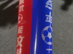 -南京奥林匹克体育中心-体育馆