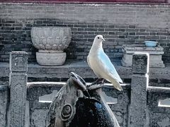 -西安大兴善寺