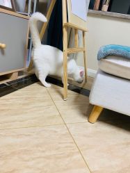 -GK顾小姐美甲店建构