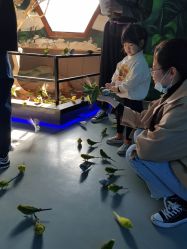 -未来动物城动物主题公园(大悦城店)