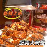 想吃海鲜怎么办，来亚马逊吃到扶墙出吧