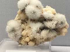 -湖南省地质博物馆