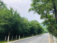 -妙峰山风景名胜区