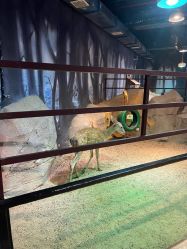 -酷嗒动物文化乐园(cutezoo西溪乐天城店)