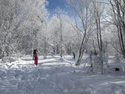 -大秃顶子山