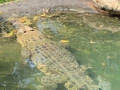 -可伦宾野生动物保护区