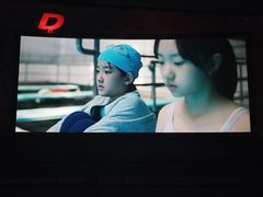 -枫花园汽车电影院(朝阳公园店)