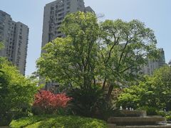 -浅深(世茂滨江精品店)