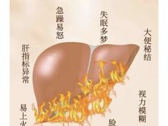 -友乐居羊蝎子(西直门店)