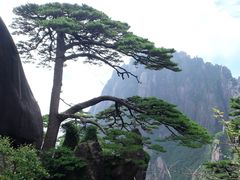 -黄山光明顶山庄