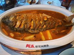 -阿五黄河大鲤鱼(纬三路店)