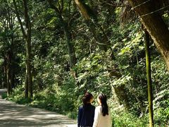 上山的路-杭州林泉山庄