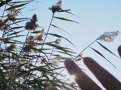 -水洞沟旅游区