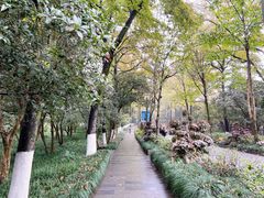 -杭州植物园