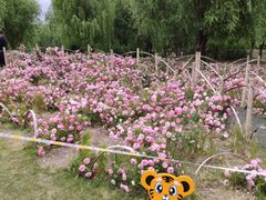 -长春公园(普阳街道)