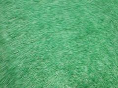 -国际友谊展览馆