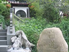 IMG_0047-十八棵（老龙井）御茶园(老龙井店)