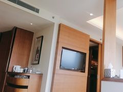 -上海浦东康桥绿地假日酒店