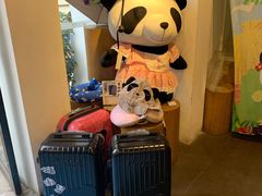 -熊猫屋(宽窄巷子景区店)