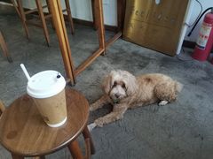 -风吟仟茶(河街店)