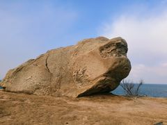 -养马岛旅游度假区