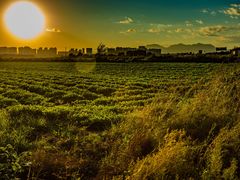 -东戴河风景区-止锚湾