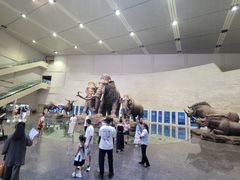 -大庆市博物馆