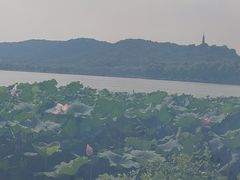 -湖畔居茶楼(湖滨店)
