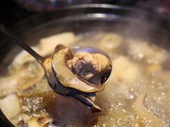 -芸鲜季·云南野生菌餐厅· 云南风物味研社(闵行店)